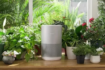 Máy lọc không khí Smartmi Air Purifier P1: Siêu phẩm “đáng đồng tiền bát gạo”