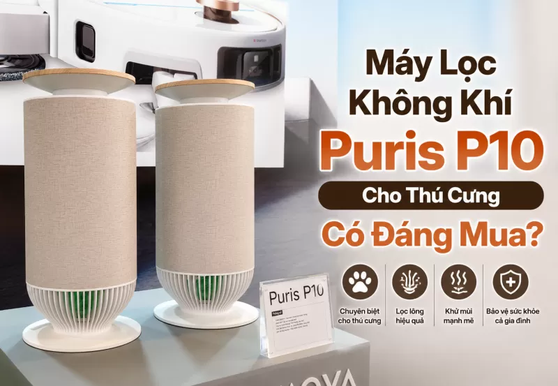 Đánh Giá Máy Lọc Không Khí Puris P10 Dành Cho Thú Cưng – Có Thực Sự Đáng Mua?