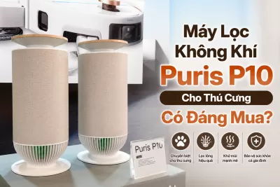 Đánh Giá Máy Lọc Không Khí Puris P10 Dành Cho Thú Cưng – Có Thực Sự Đáng Mua?