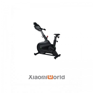 Xe Đạp Tập Trong Nhà Kingsmith H1