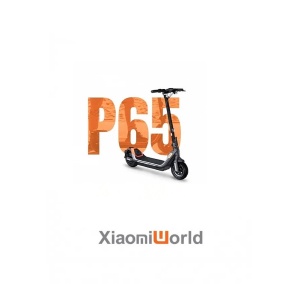 Xe Điện Scooter Segway Ninebot P65 2022