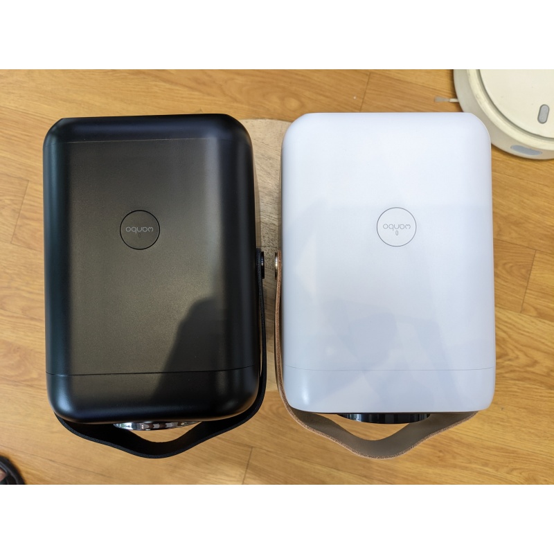 Máy Chiếu Wanbo T6R Max