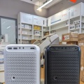 Máy Chiếu Wanbo T6R Max