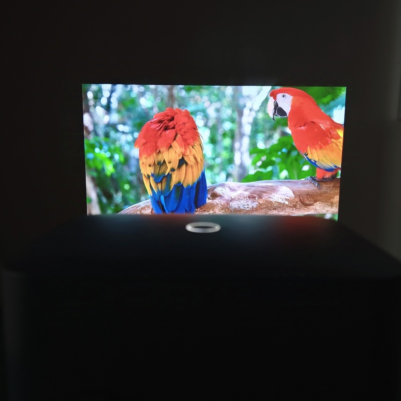 Máy Chiếu Wanbo X2 Max