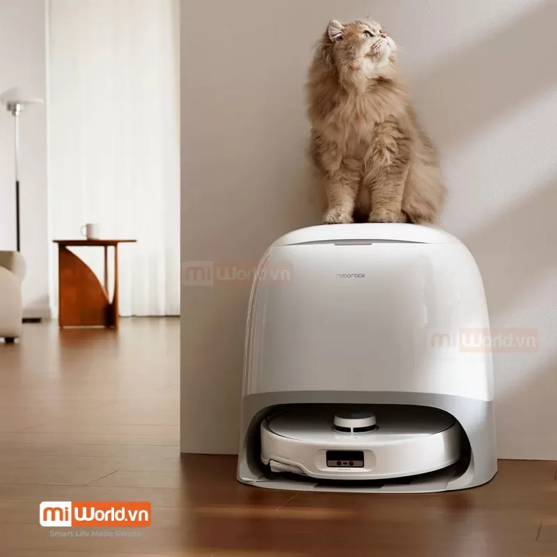 Robot Hút Bụi Lau Nhà Roborock Q Revo Curv Model 2025 – Bản Quốc Tế