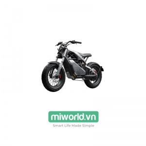 Xe Điện Segway Ninebot Xyber