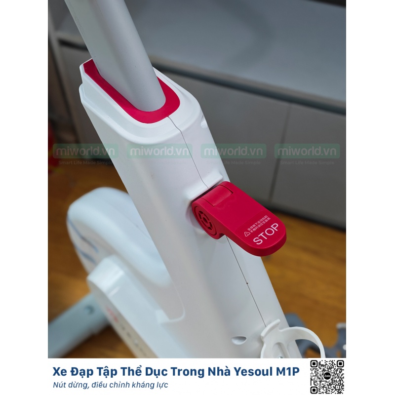 Xe Đạp Tập Thể Dục Trong Nhà Yesoul M1P Bản Quốc Tế Model 2025