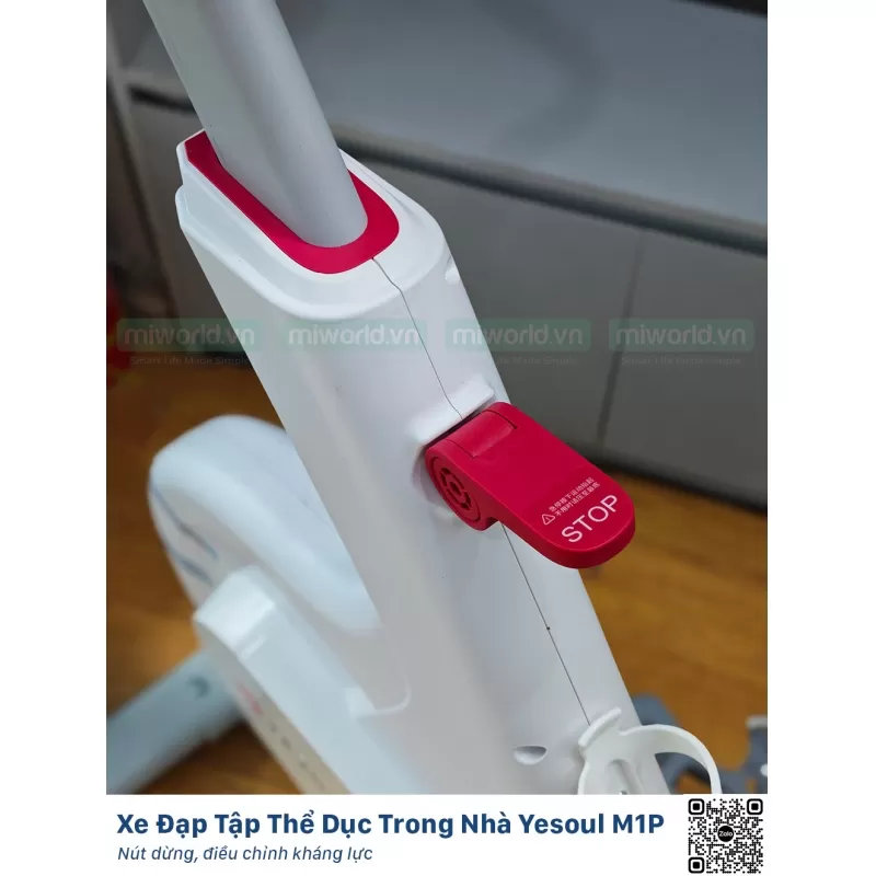 Xe Đạp Tập Thể Dục Trong Nhà Yesoul M1P Bản Quốc Tế Model 2025